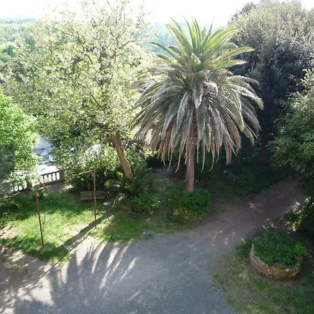 Silvestri