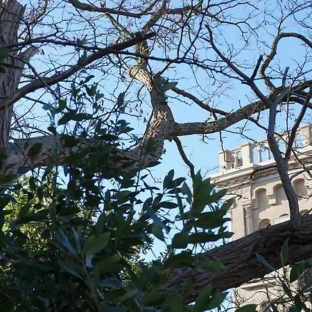 Silvestri Fauglia