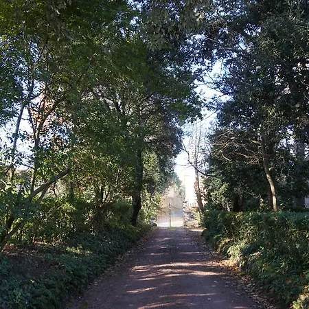 アパート Silvestri Fauglia