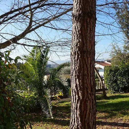 Silvestri * Fauglia
