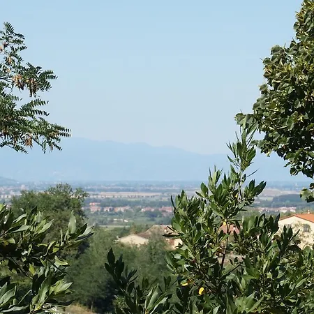 アパート Silvestri Fauglia