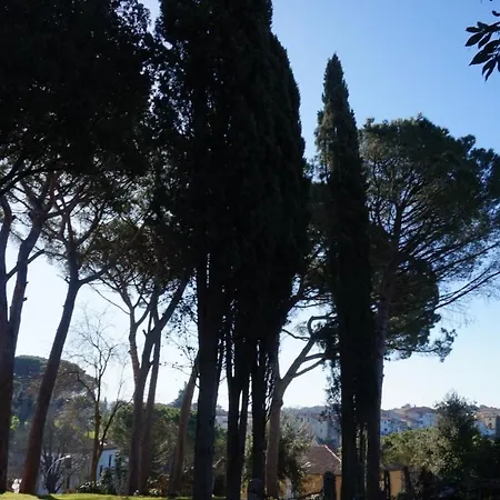 Silvestri Fauglia