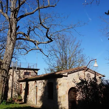 Silvestri Fauglia