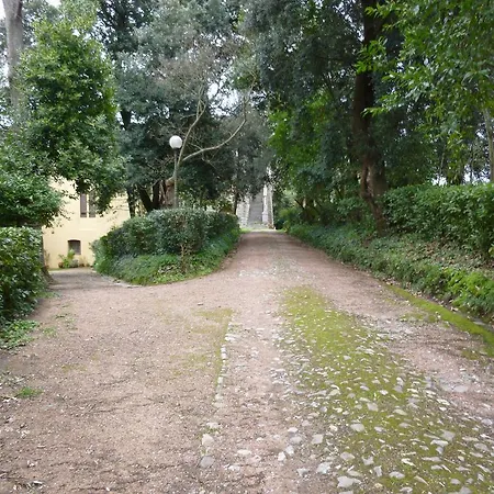 Silvestri Fauglia