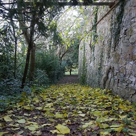 Lejlighed Silvestri Fauglia